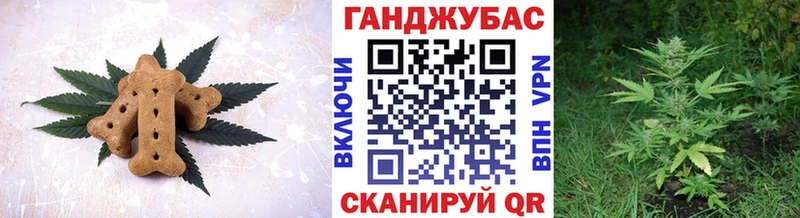 Купить где  Гусиноозёрск  Canna-Cookies марихуана 