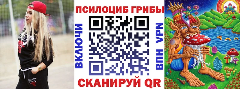 Купить где  Гусиноозёрск  Галлюциногенные грибы GOLDEN TEACHER 